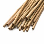bambukas